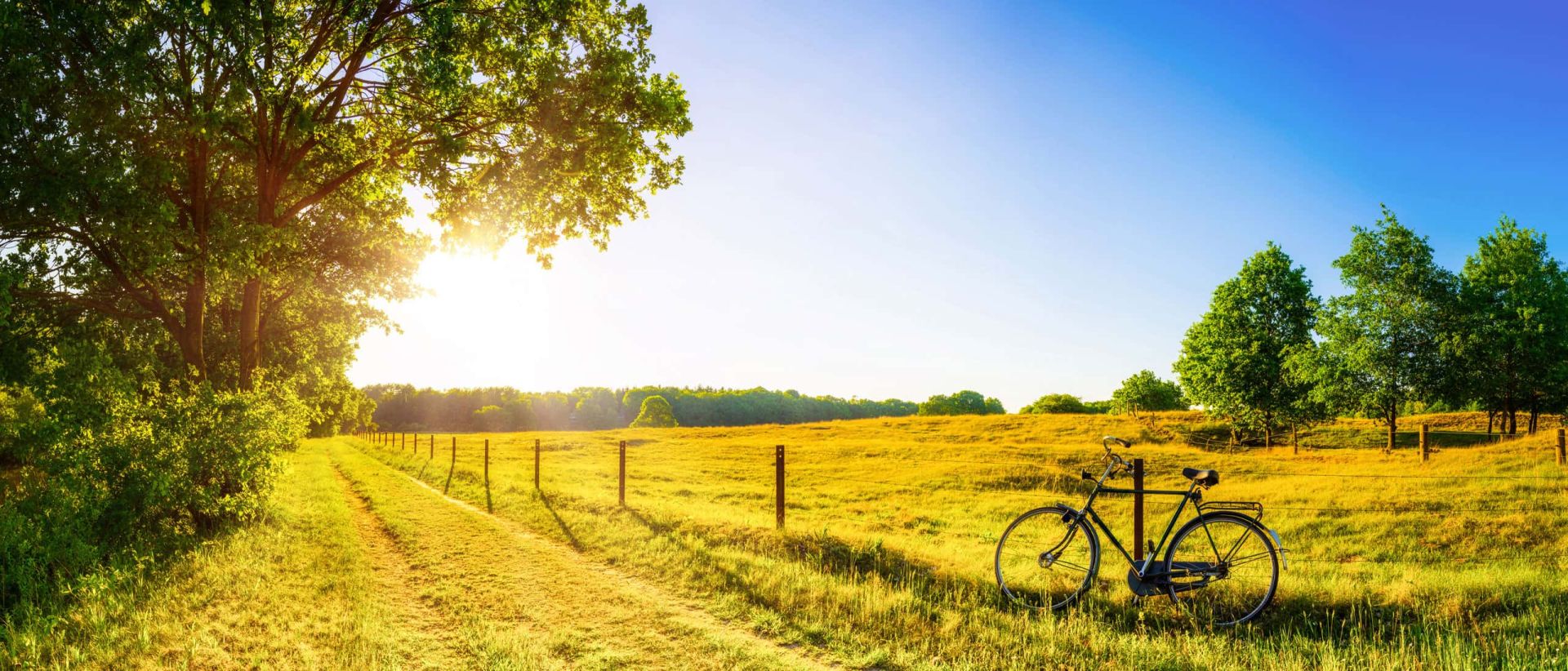 Fietsen en wandelen door het moeras